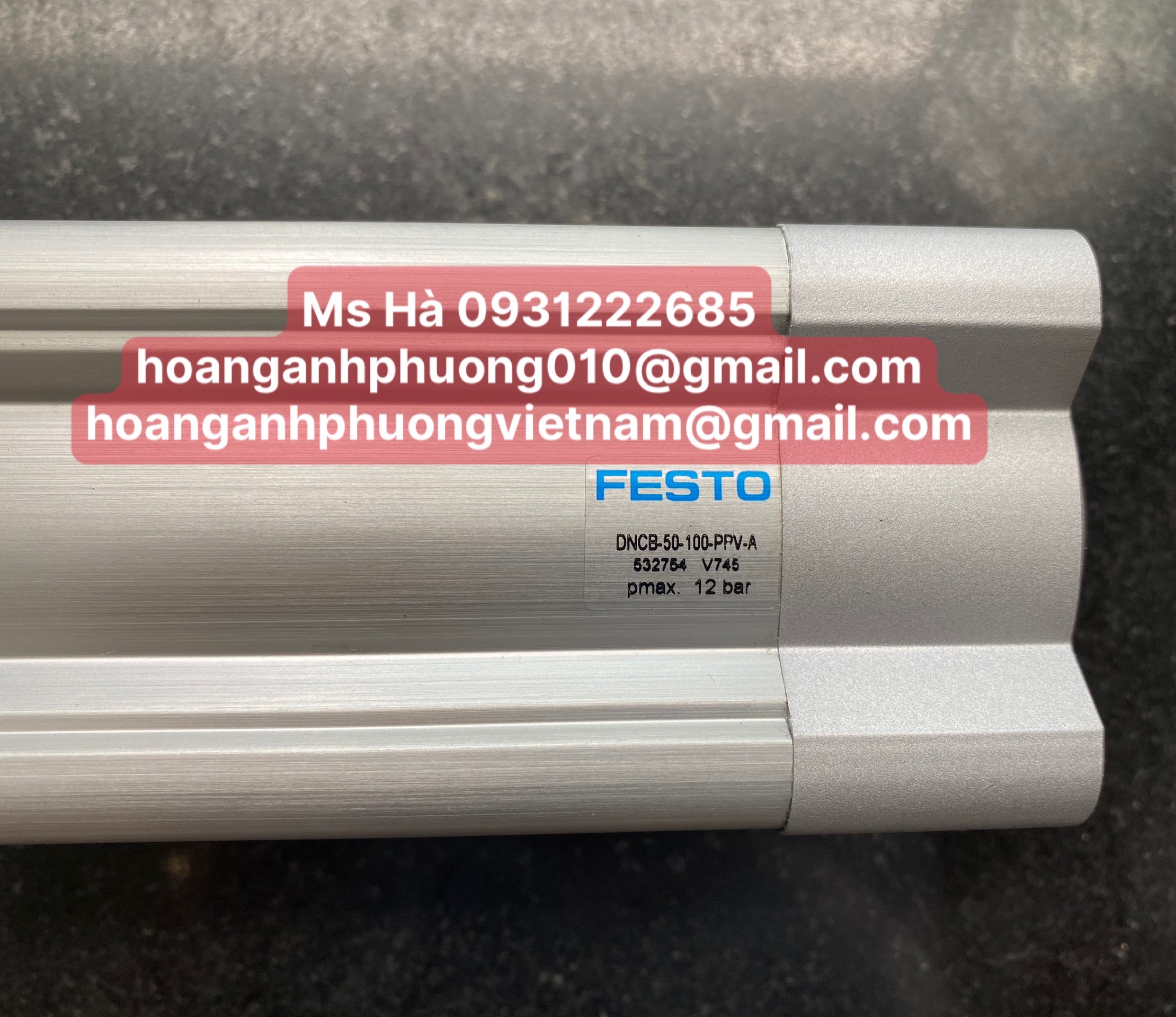 DNCB series - Xy lanh Festo DNCB-50-100-PPV-A