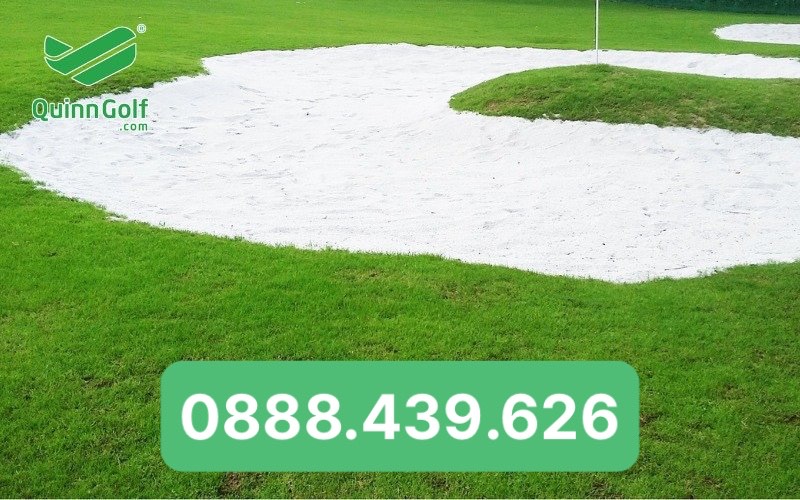 Cỏ Sân Golf - Sân thể thao chất lượng cao