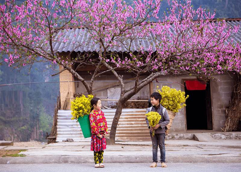 Tết Nguyên đán du lịch nơi rẻo cao Hà Giang