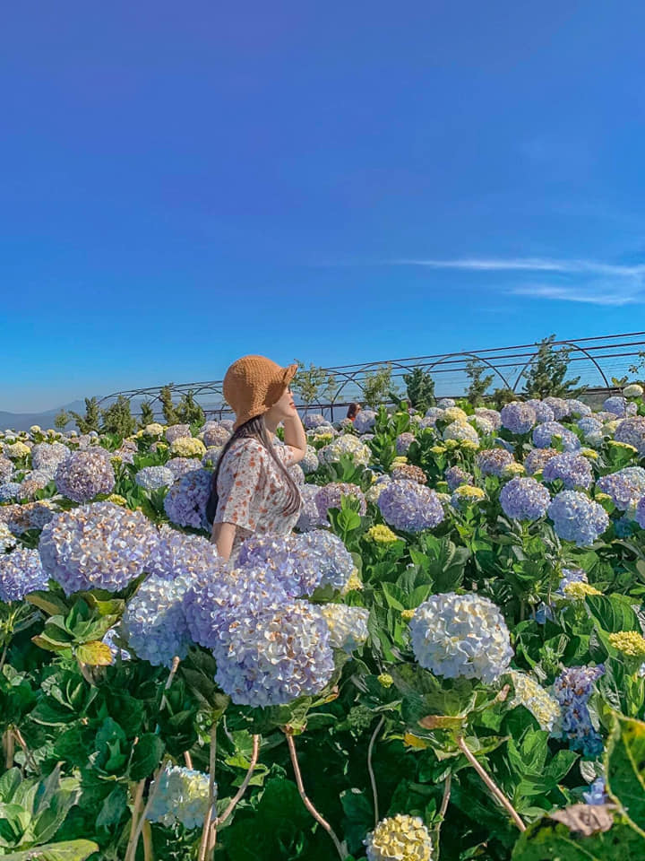 Tour Đà Lạt - Thành phố ngàn hoa 3 ngày 3 đêm 