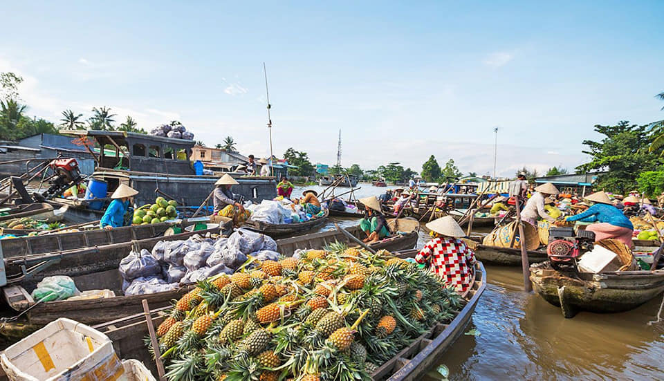 Du lịch Miền Tây 1 ngày Mỹ Tho - Bến Tre