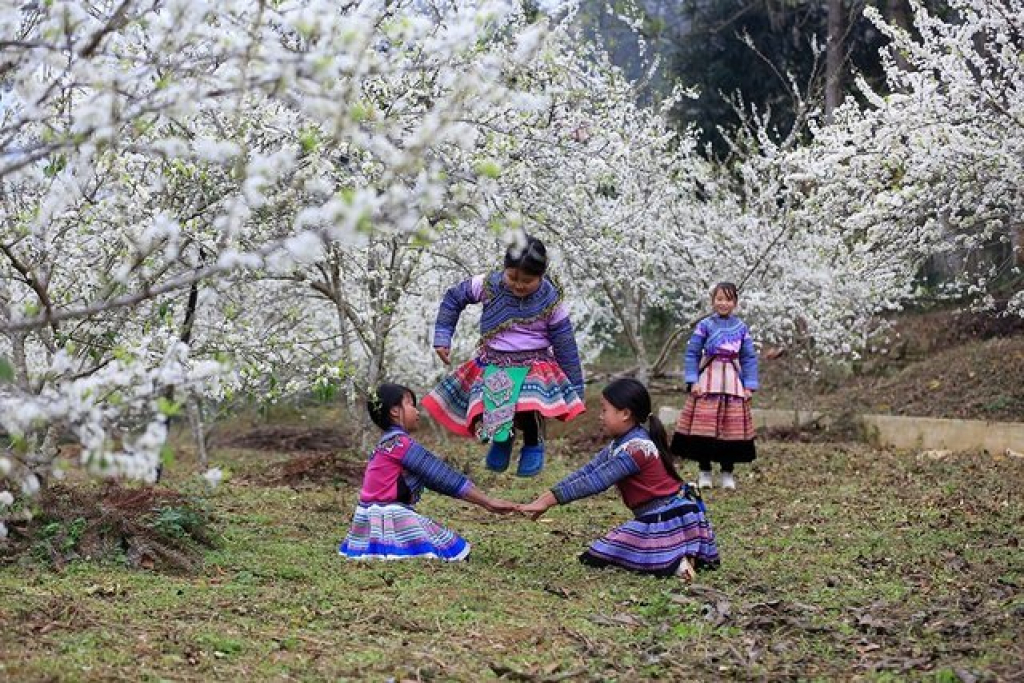 tour bắc hà 2 ngày 1 đêm b đã sẵn sàng chưa