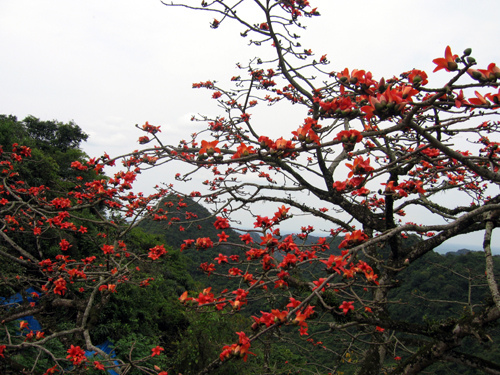 tour du lịch hà giang 2 ngày 1 đêm cùng khám phá nhé