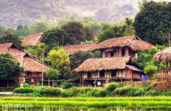 Tour rong chơi bản làng Hòa Bình mùa hoa gạo