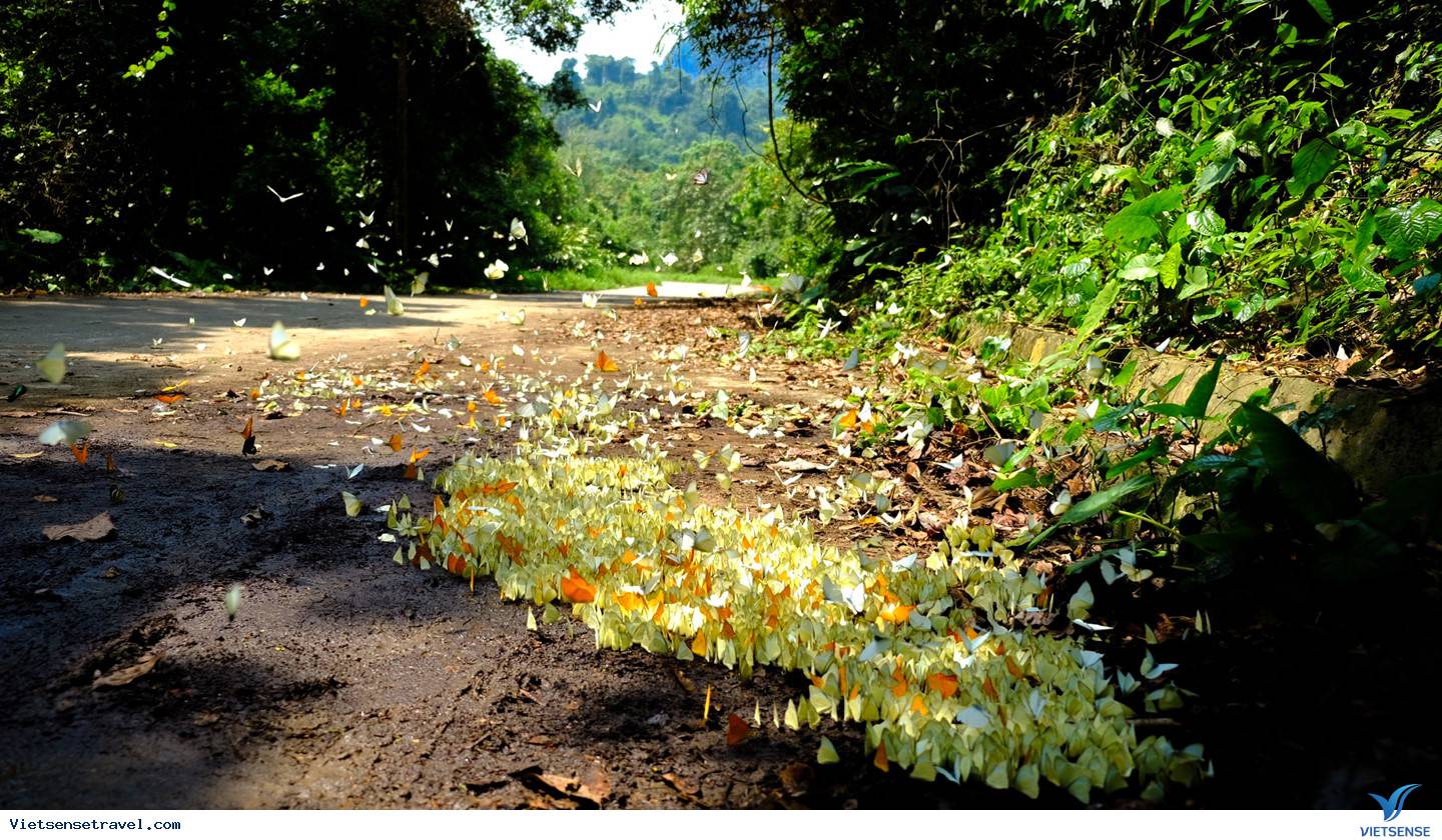 tour du lịch ninh bình 2 ngày một đêm cùng tham gia nhé