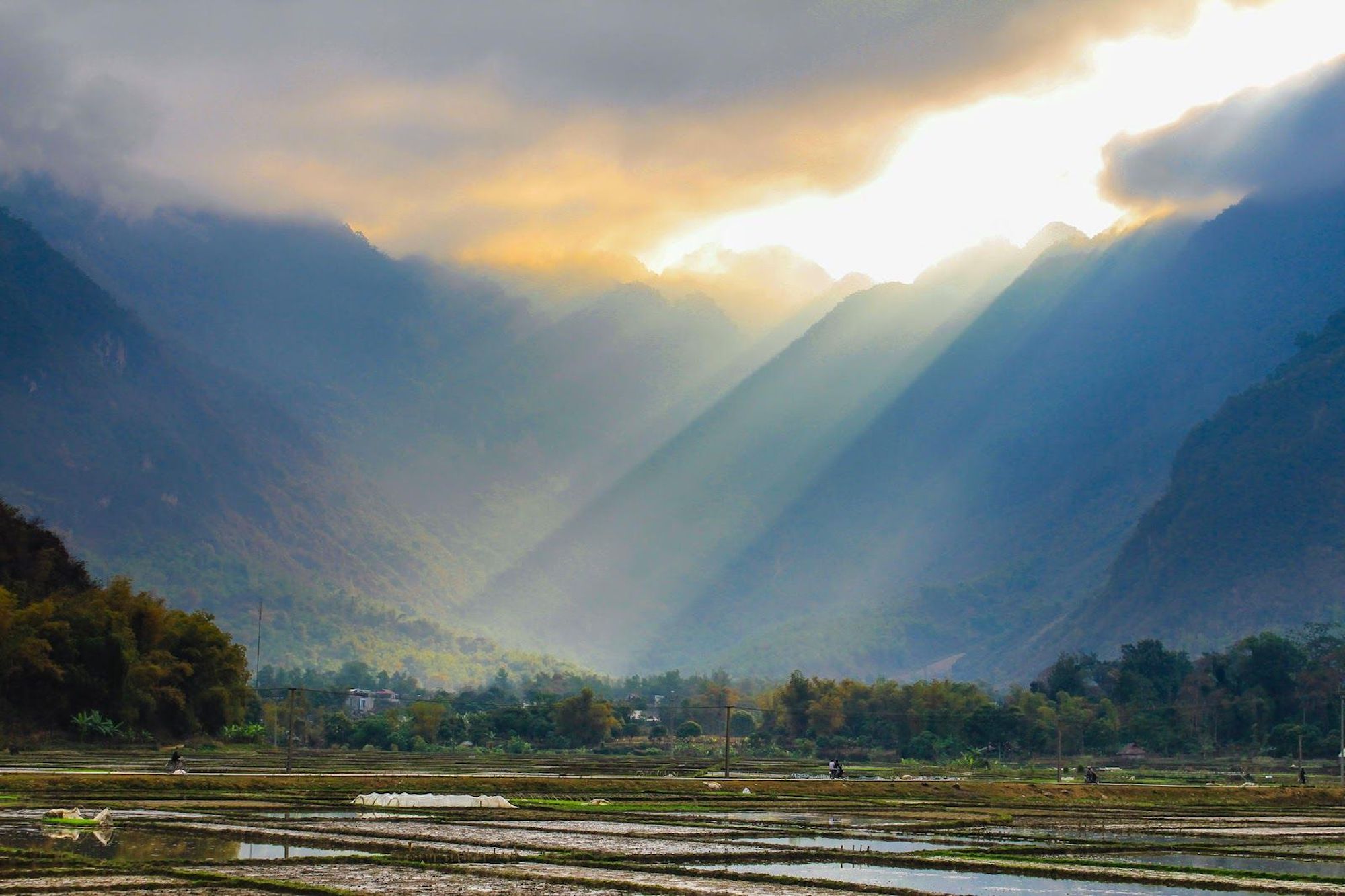 tour du lịch mai dịch 2 ngày 1ddeem gogogo