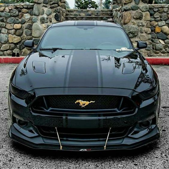 ô tô 7 chỗ gia đình 3