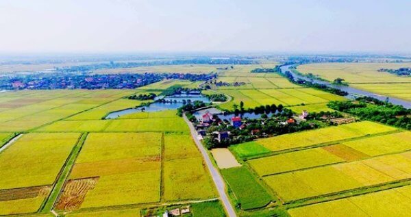 Đất 20 năm là gì?