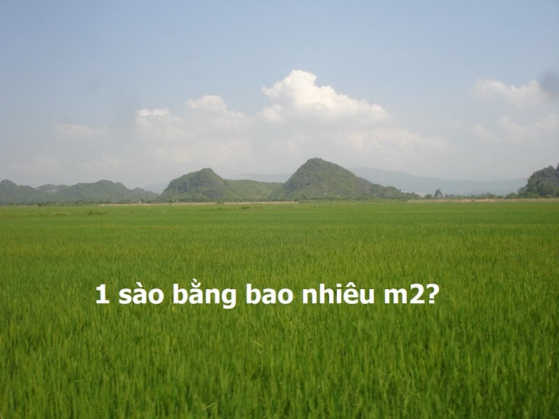 Tính sào đất ra m2 theo cách của người Bắc Bộ