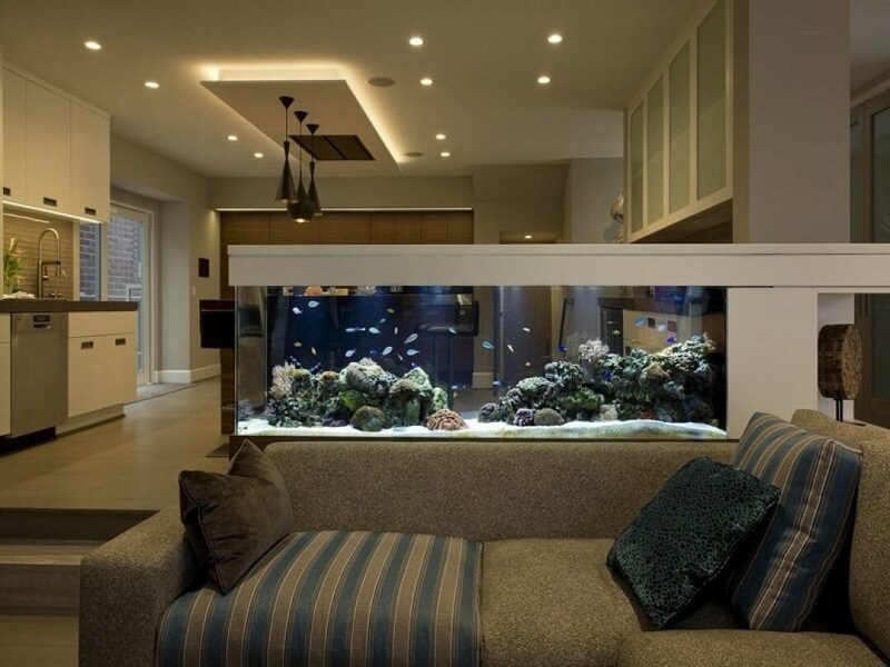 Bể cá cảnh vừa làm đẹp vừa có ý nghĩa phong thủy