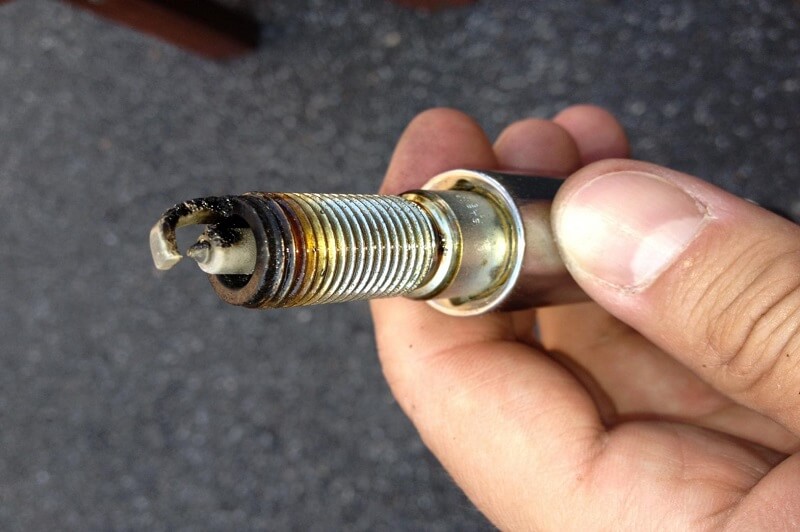 Bugi bị muội đen