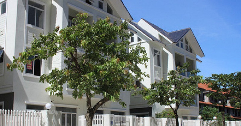 Dàn cảnh đẩy giá