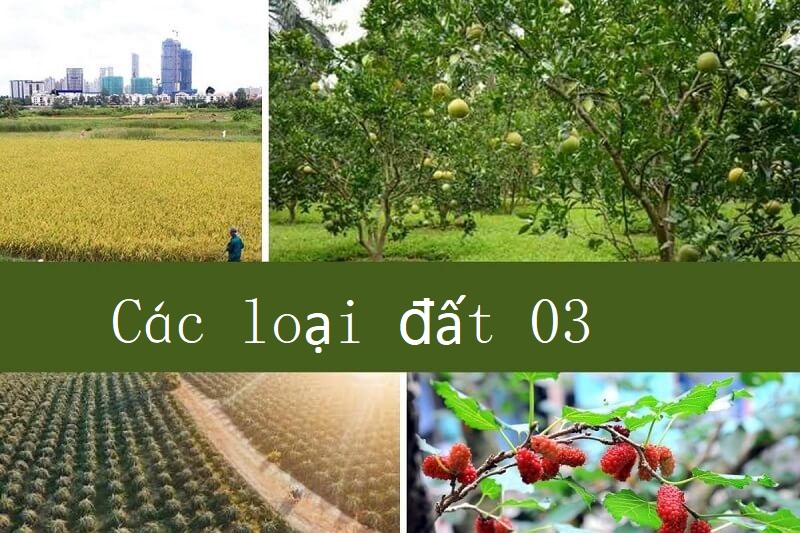 Các loại đất 03