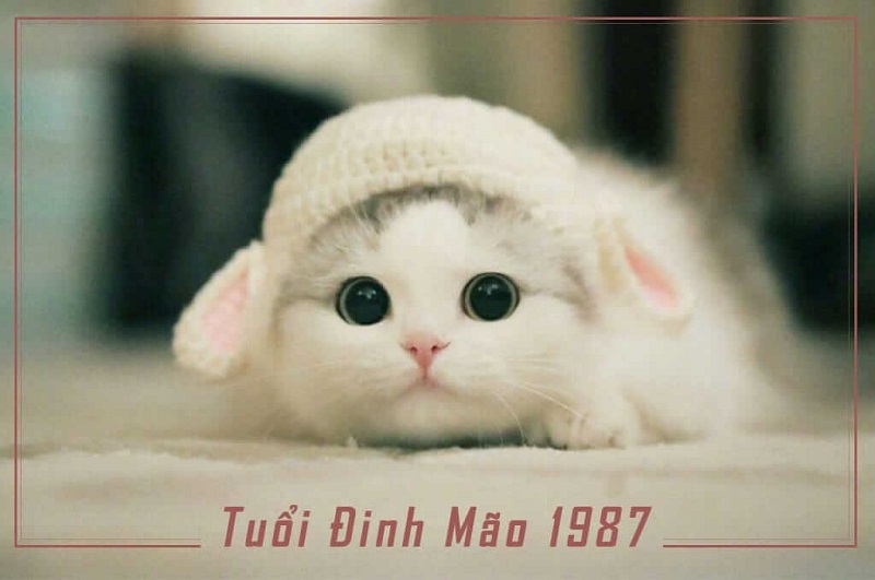 Người tuổi 1987 là như thế nào?