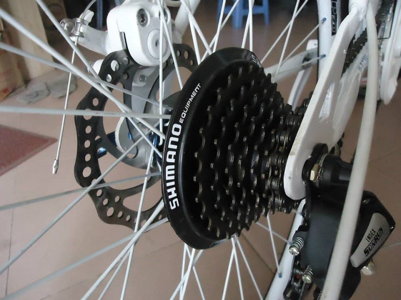 Phối hợp ăn ý đĩa và líp