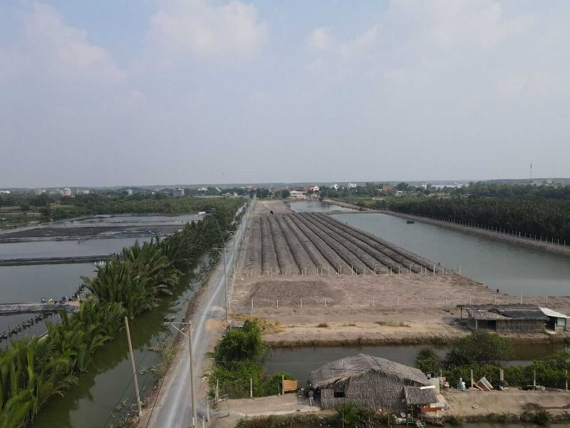 Các căn cứ để phân loại mục đích sử dụng đất