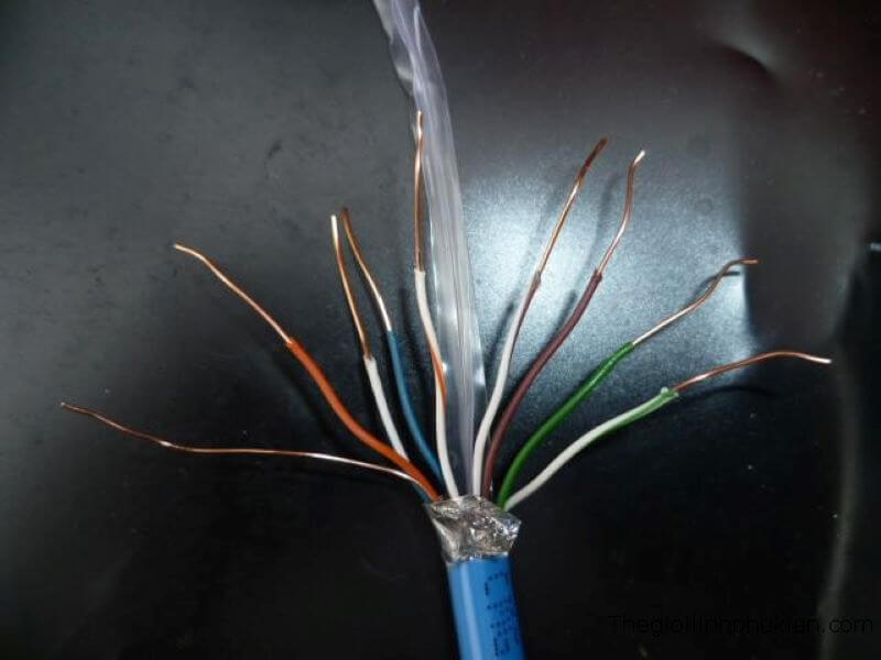 Cáp mạng AMP chính hãng