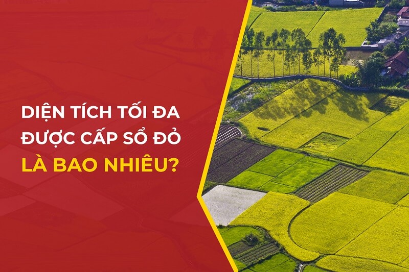 Hạn mức đất được cấp sổ đỏ có sự khác nhau ở từng địa phương