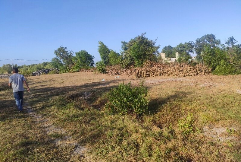 Có thể cấp sổ đỏ cho lô đất nông nghiệp