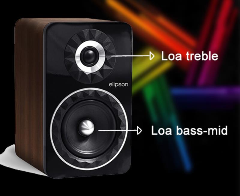 Cấu tạo của loa 2 way