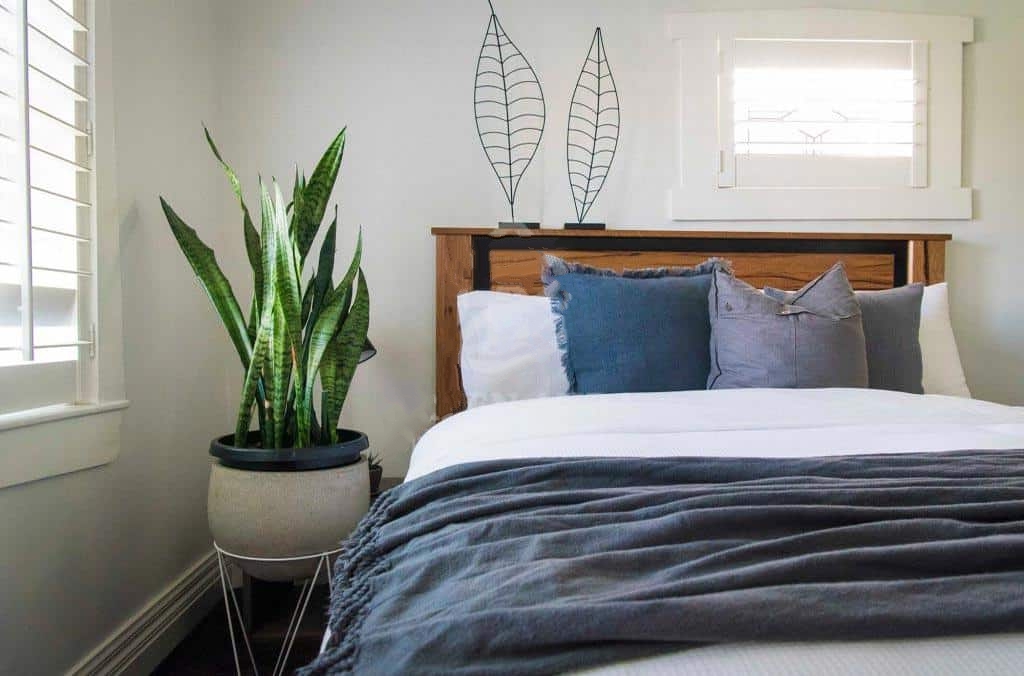 Trả lời cho câu hỏi nên hay không nên đặt cây xanh trong phòng ngủ theo góc độ sinh học