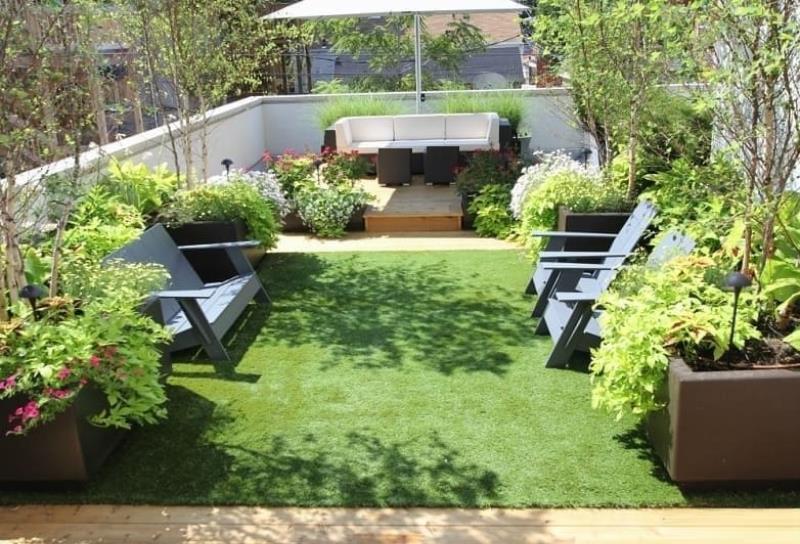 Trồng cây xanh và cây cảnh trên sân thượng làm mát