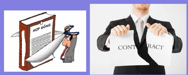 Thỏa thuận chấm dứt hợp đồng cũng được quy định rõ ràng