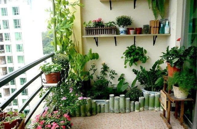 Trồng nhiều cây xanh ở ban công