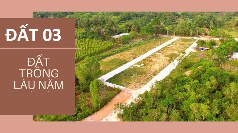 Chuyển đổi đất 03 sang mục đích trồng trọt