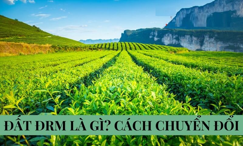 Chuyển đổi đất đrm