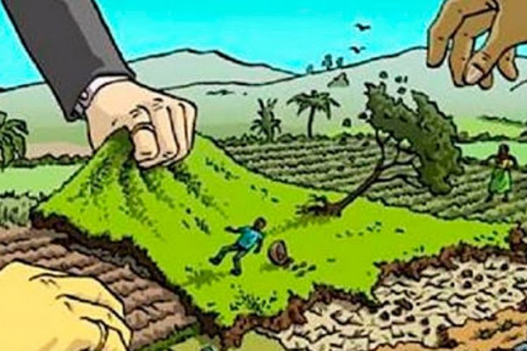 Trường hợp chuyển đổi mục đích sử dụng đất phải xin phép