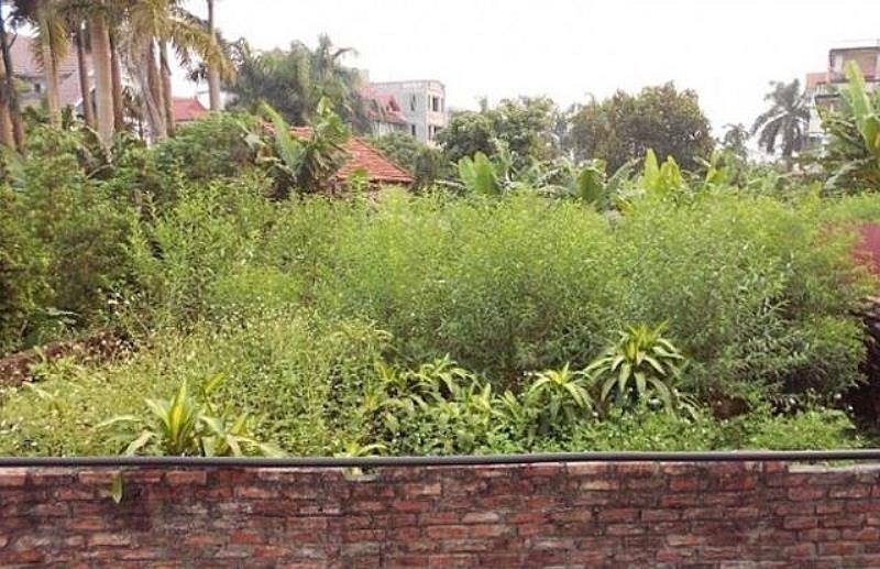 Đất xen kẹt muốn xây nhà cần xin chuyển đổi mục đích sử dụng