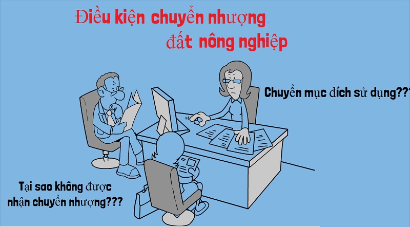 Điều kiện để được chuyển nhượng đất 313