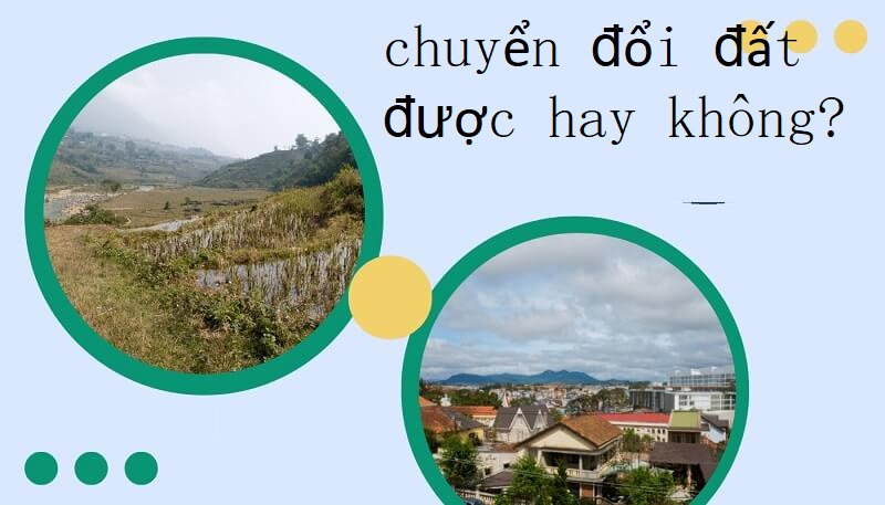 Có được chuyển đổi đất 03 sang đất ở không