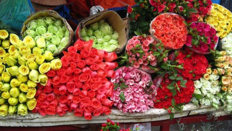 Có mặt bằng đẹp nên kinh doanh gì