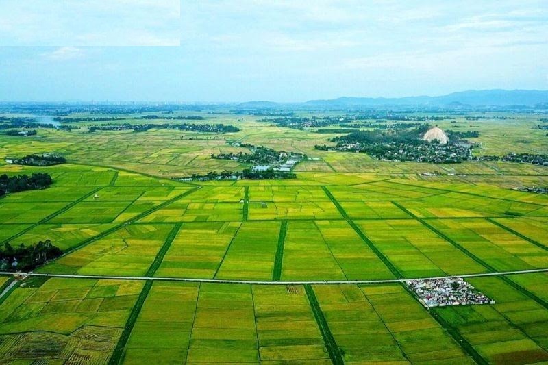 Thông tin chung về câu hỏi đất ruộng có bán được không