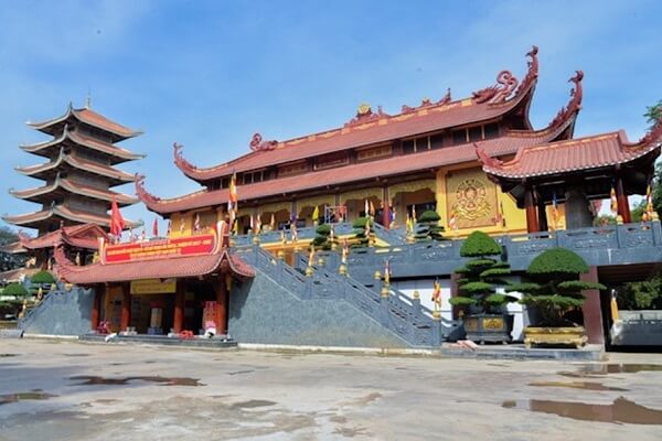 Trồng các loại cây phong thủy