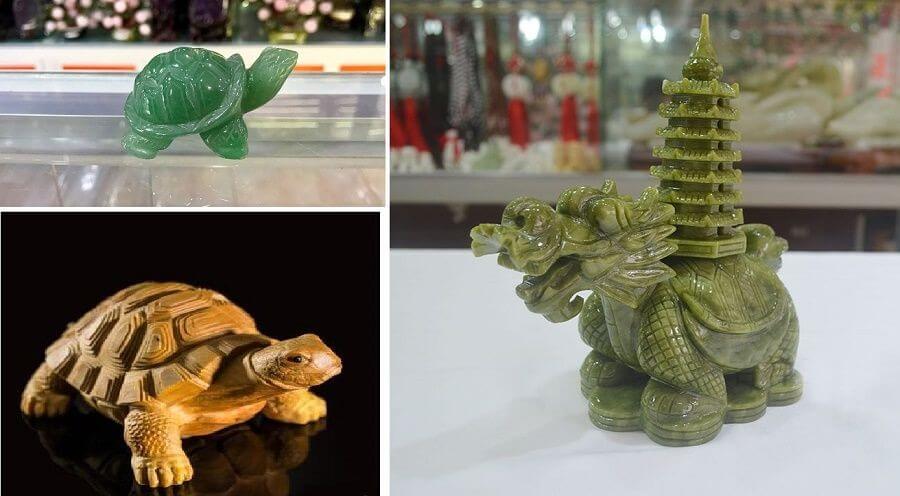 Tuổi không hợp để nuôi rùa