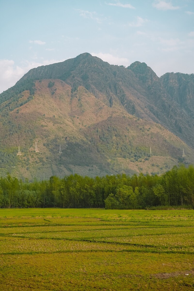 Cách tính diện tích đất ở