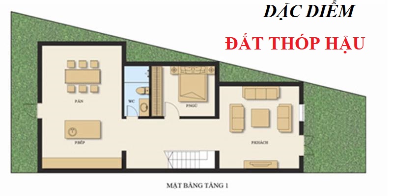 Đặc điểm của đất thóp hậu