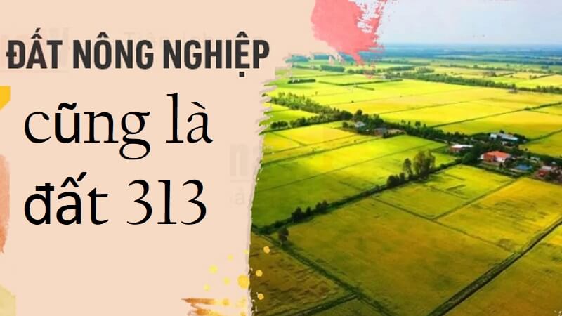 Định nghĩa đất 313 là đất gì