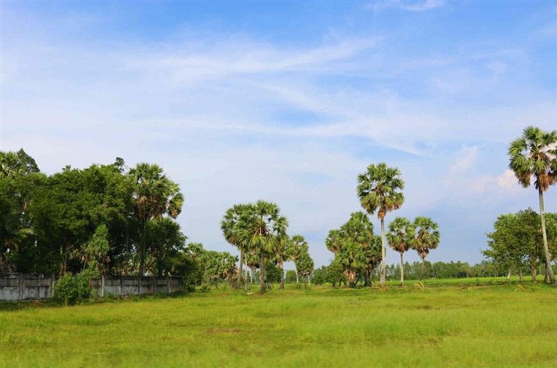 Thủ tục về hồ sơ và quy trình thực hiện