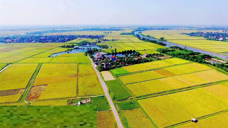 Quy định cho tặng, chuyển nhượng đối với đất đrm