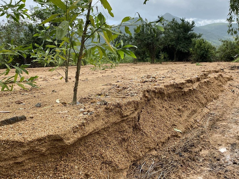 Đất hoa màu chuyển sang đất ở