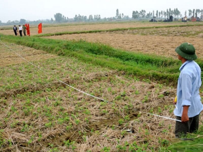 Đất nông nghiệp được tiếp tục sử dụng và không cần cấp sổ đỏ