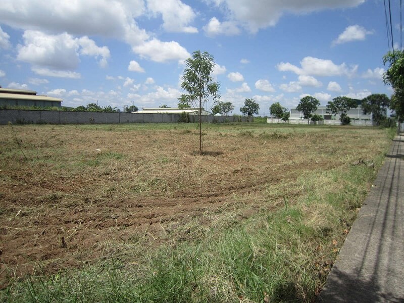 Đất 50 năm chủ yếu là đất nông nghiệp