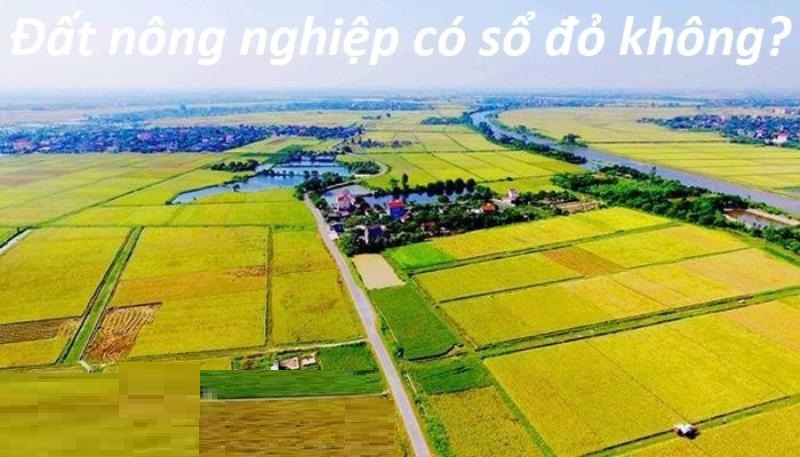 Đất nông nghiệp có sổ đỏ không và điều kiện cấp