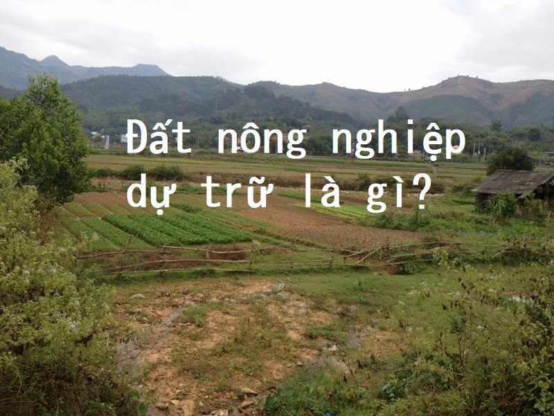 Làm sáng tỏ khái niệm về đất nông nghiệp dự trữ