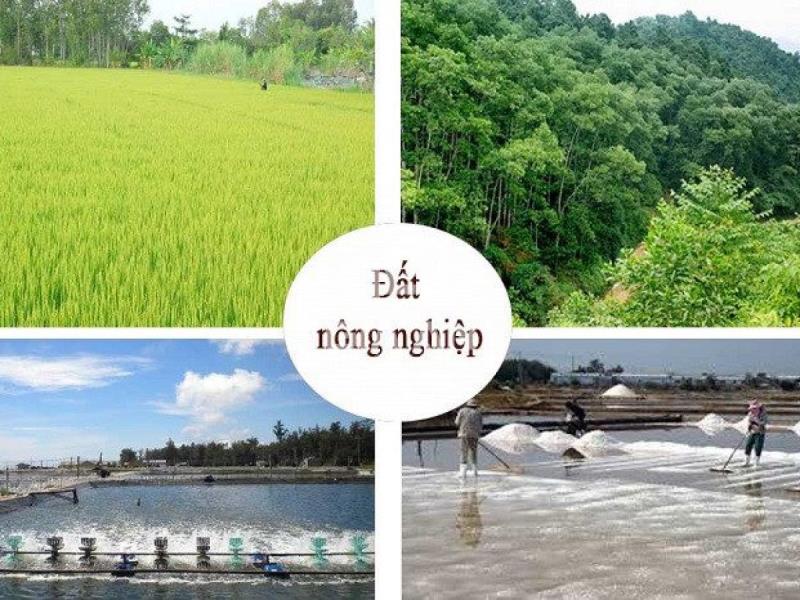 Đất nông nghiệp gồm những loại đất khác nhau