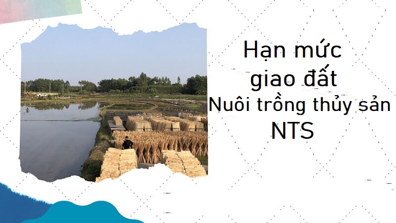 Quy định về hạn mức giao đất NTS
